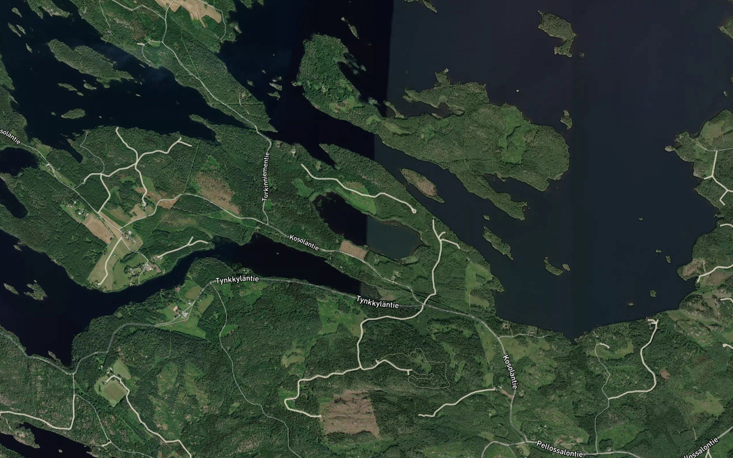 Lauvuslampi