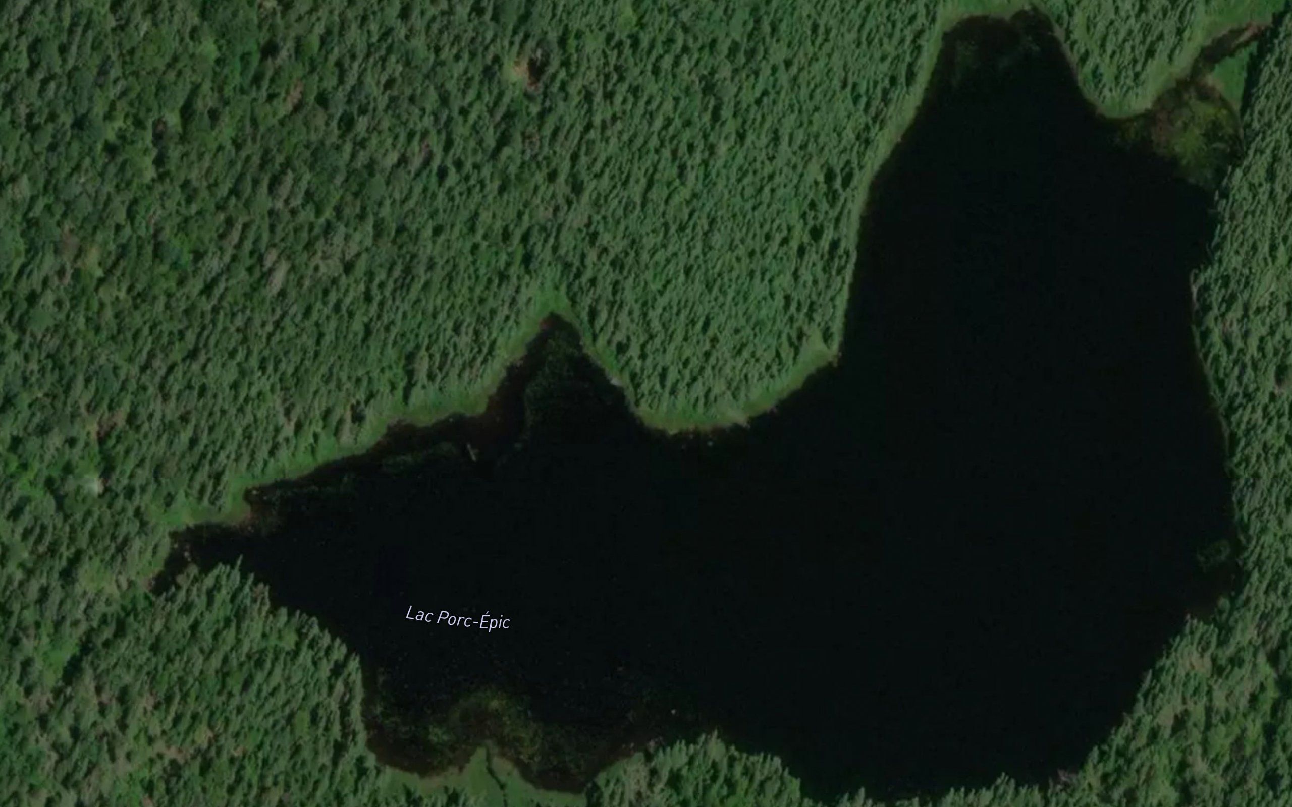 Lac Porc-Epic