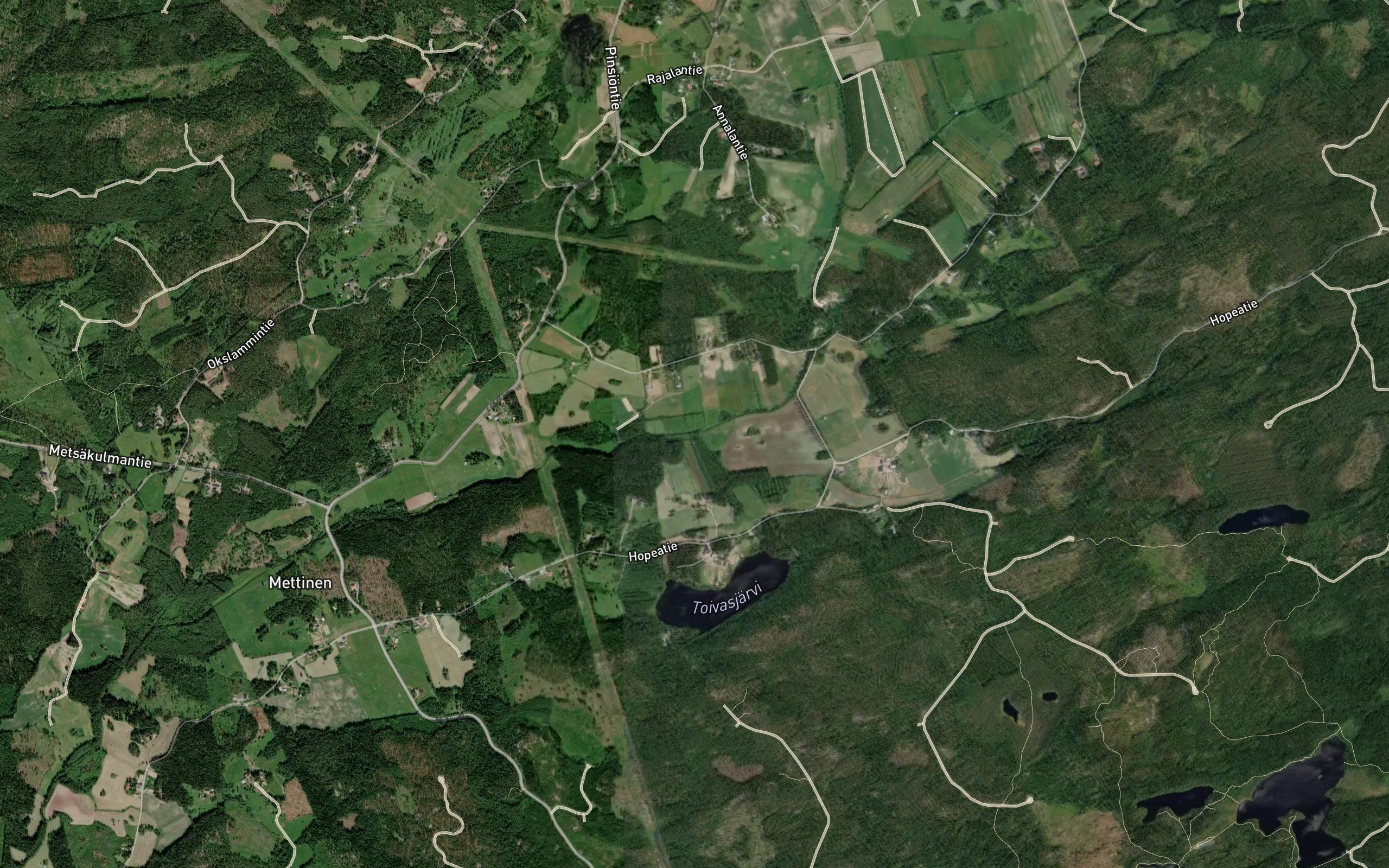 Blummanoja