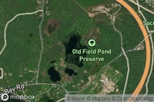 Goat Pasture Pond