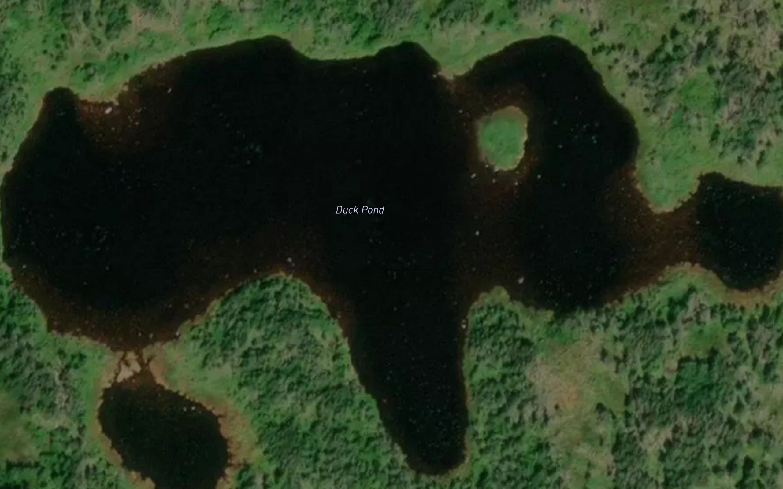 Duck Pond