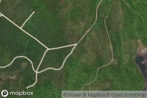 Walsh Brook