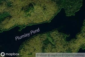 Plumley Pond