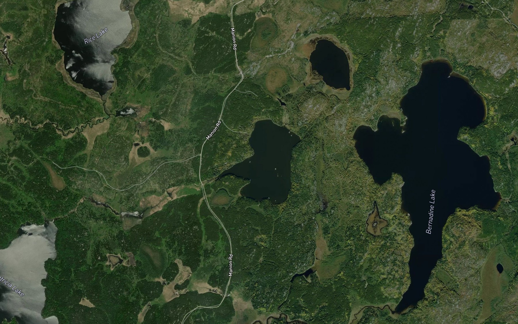 Satellite map of the Warren Lake