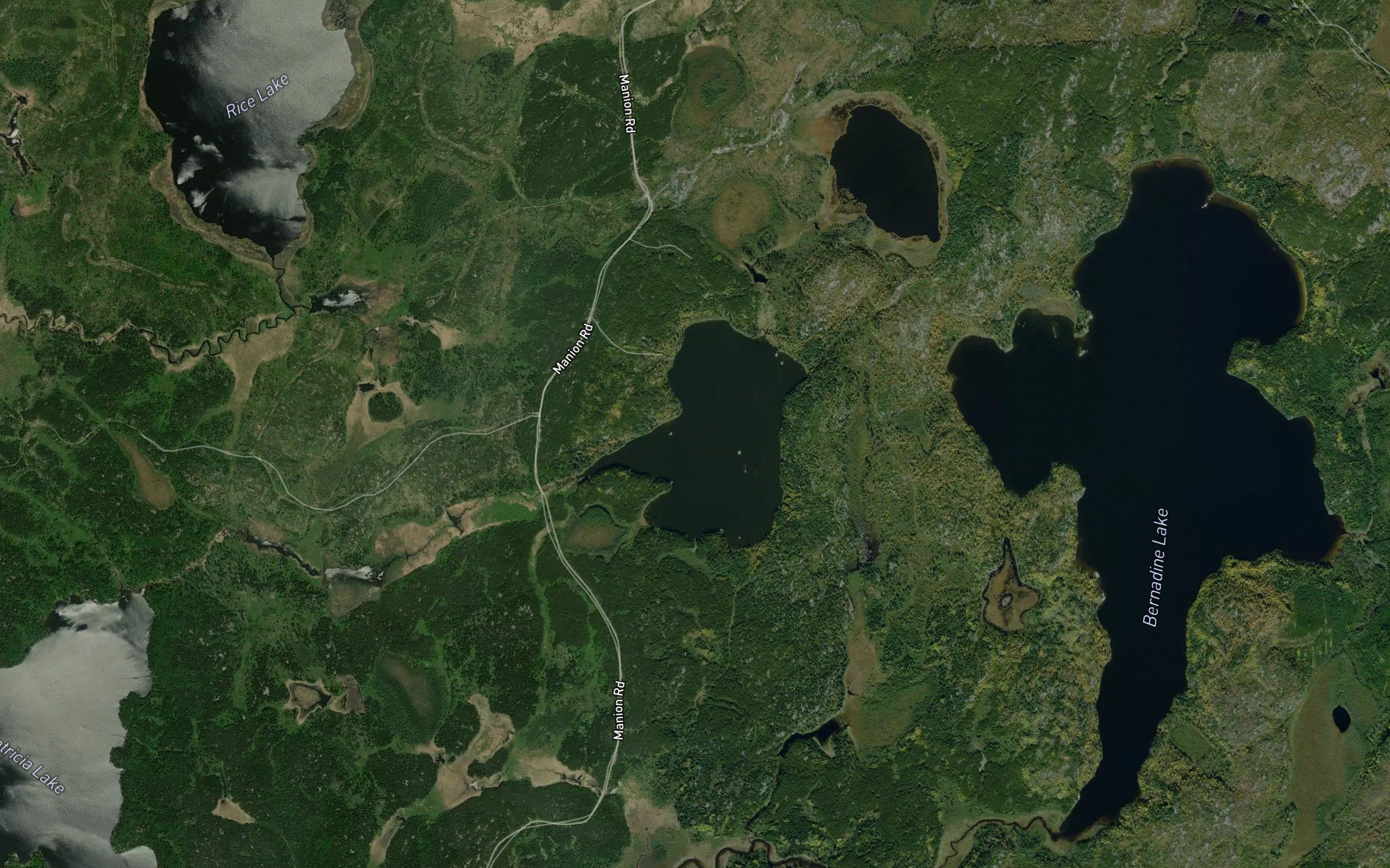 Warren Lake