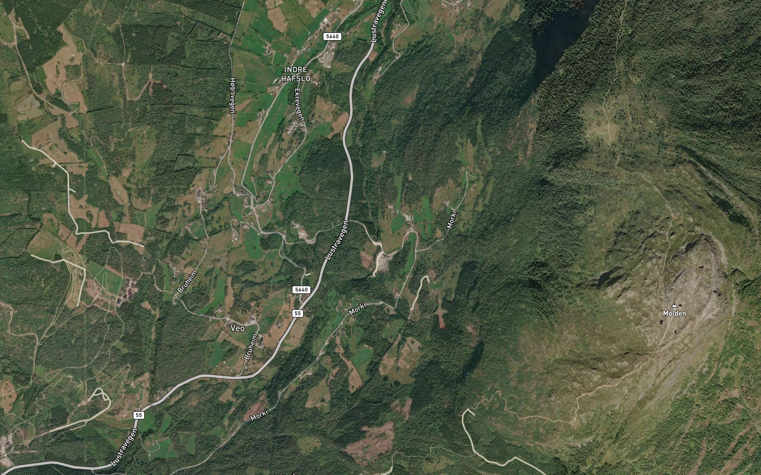 Lifossen