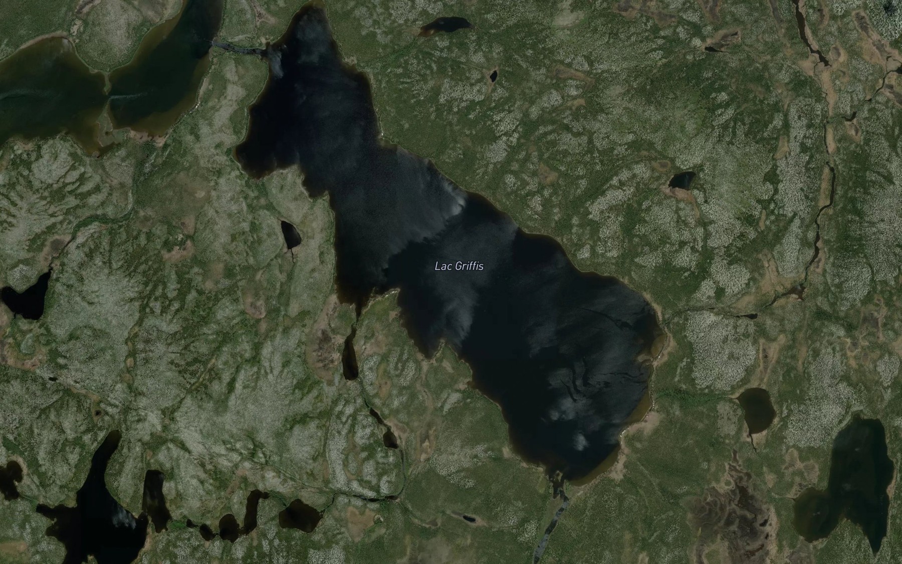 Satellite map of the Lac Griffis