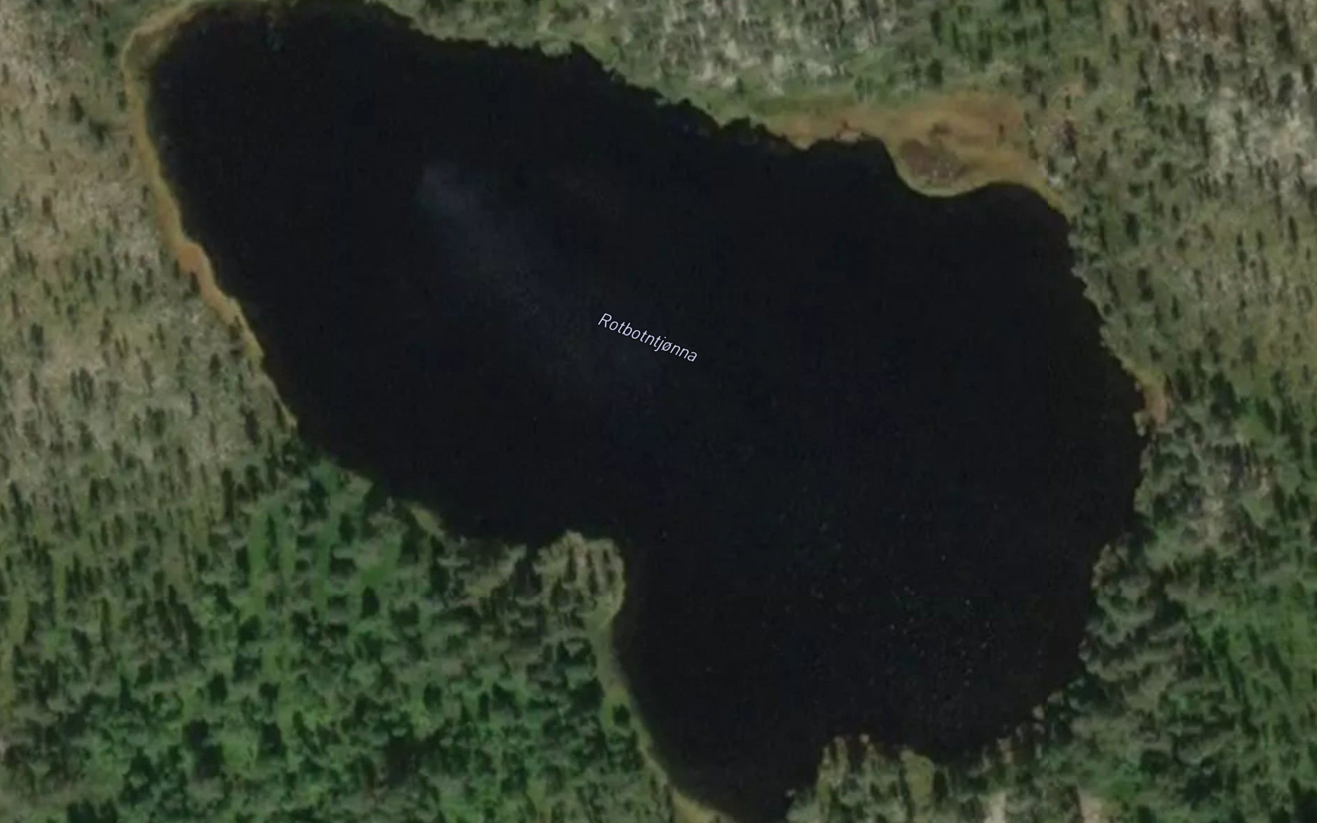 Rotbotntjorn