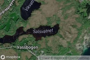Salsvatnet