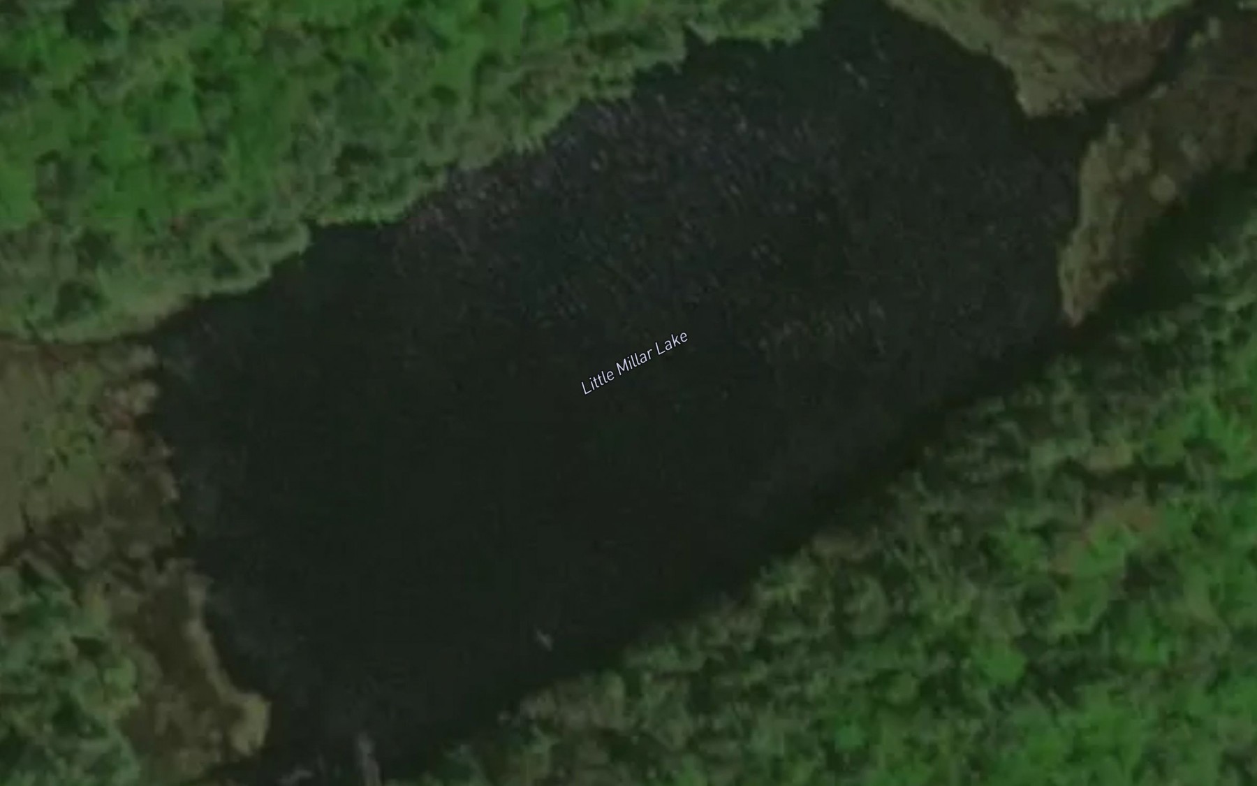 Satellite map of the Little Millar Lake