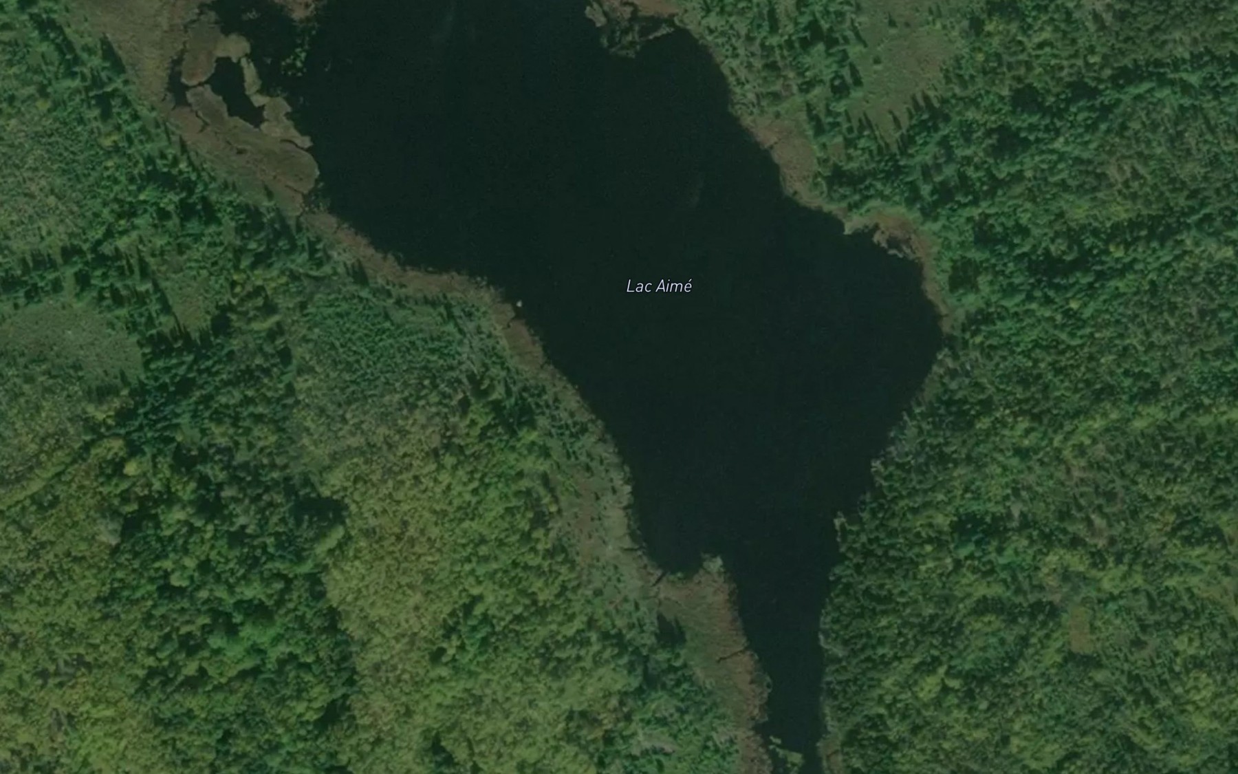 Satellite map of the Lac Aime