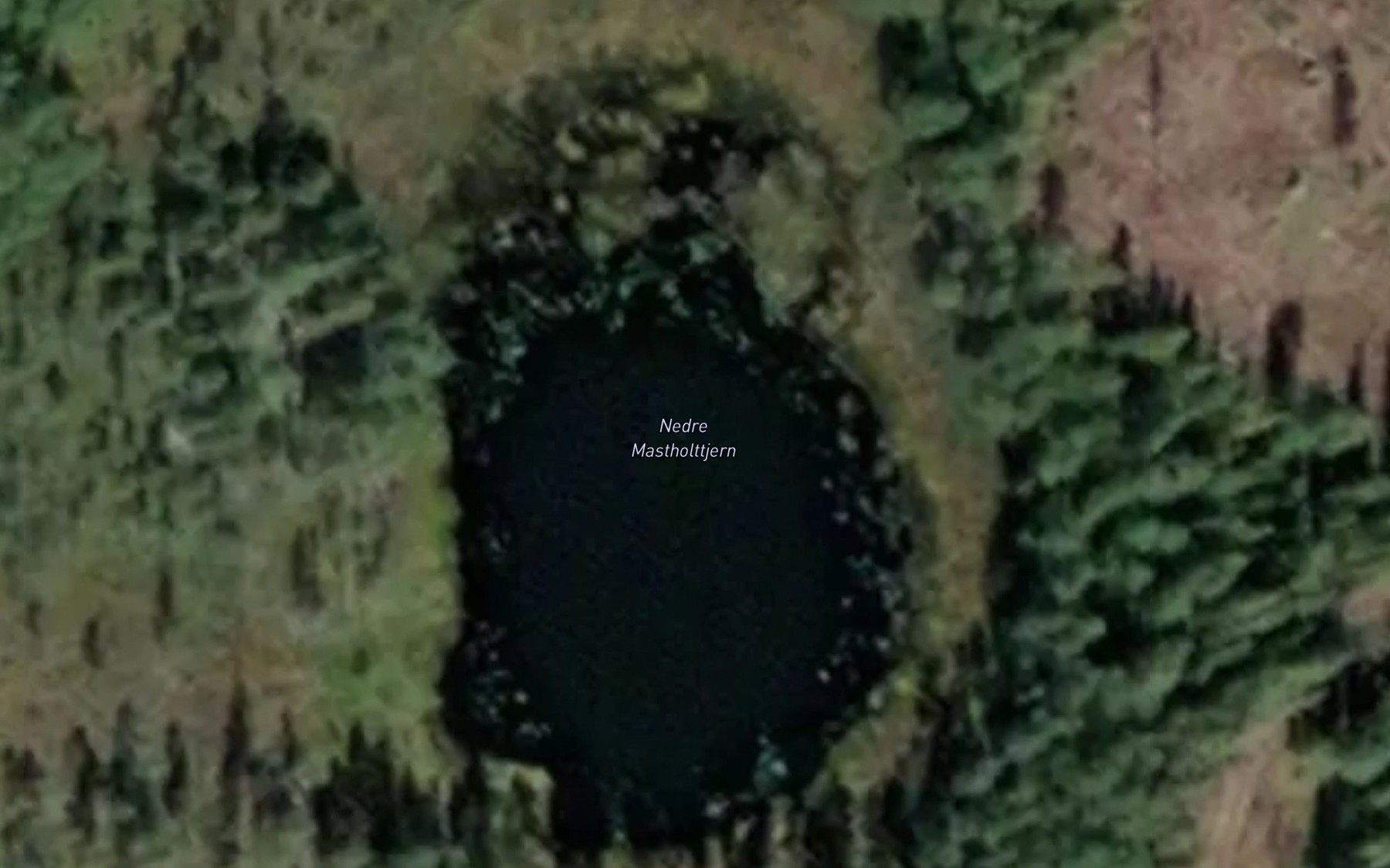 Satellite map of the Nedre Mastholttjern