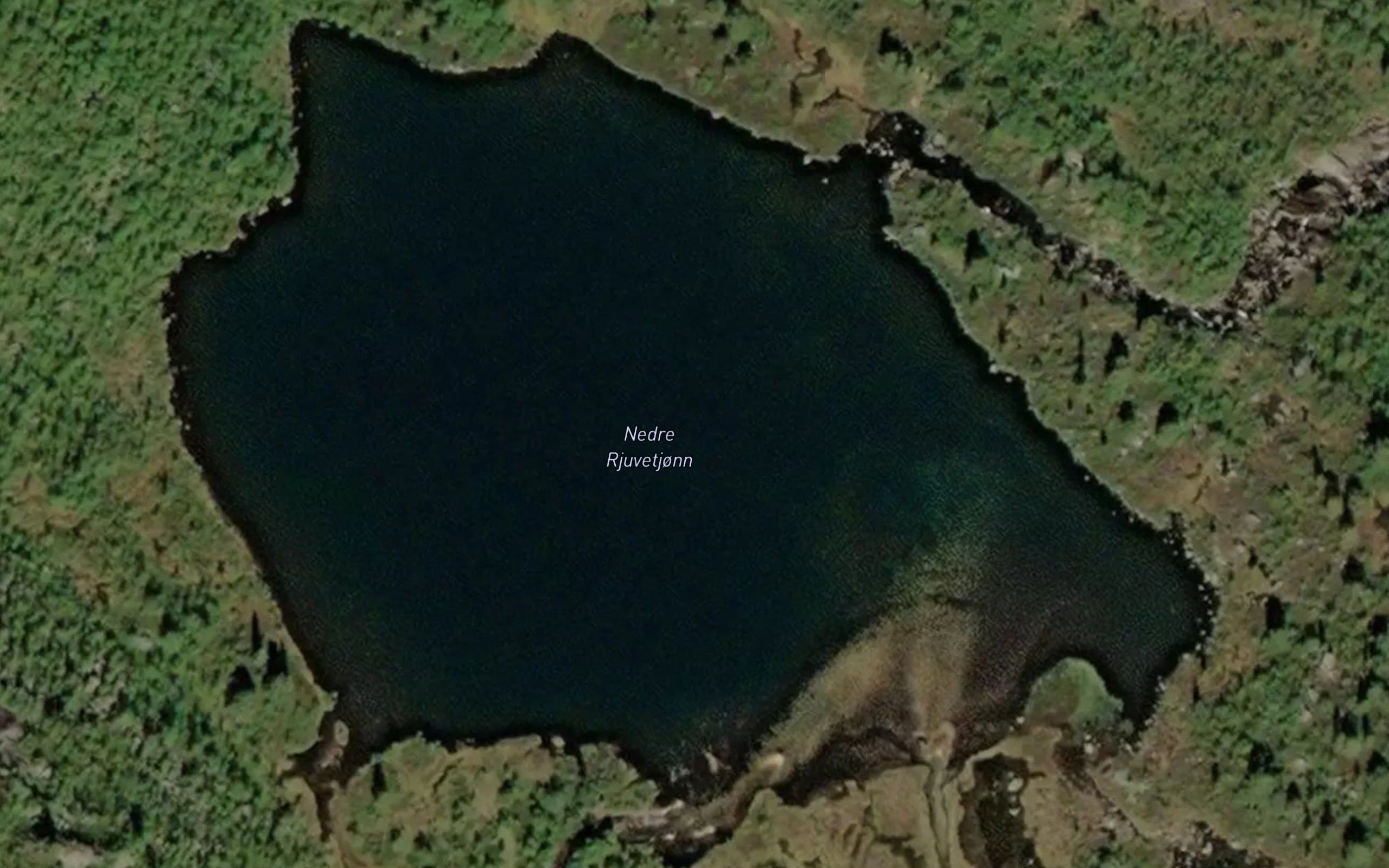 Rjuvetjonn neire
