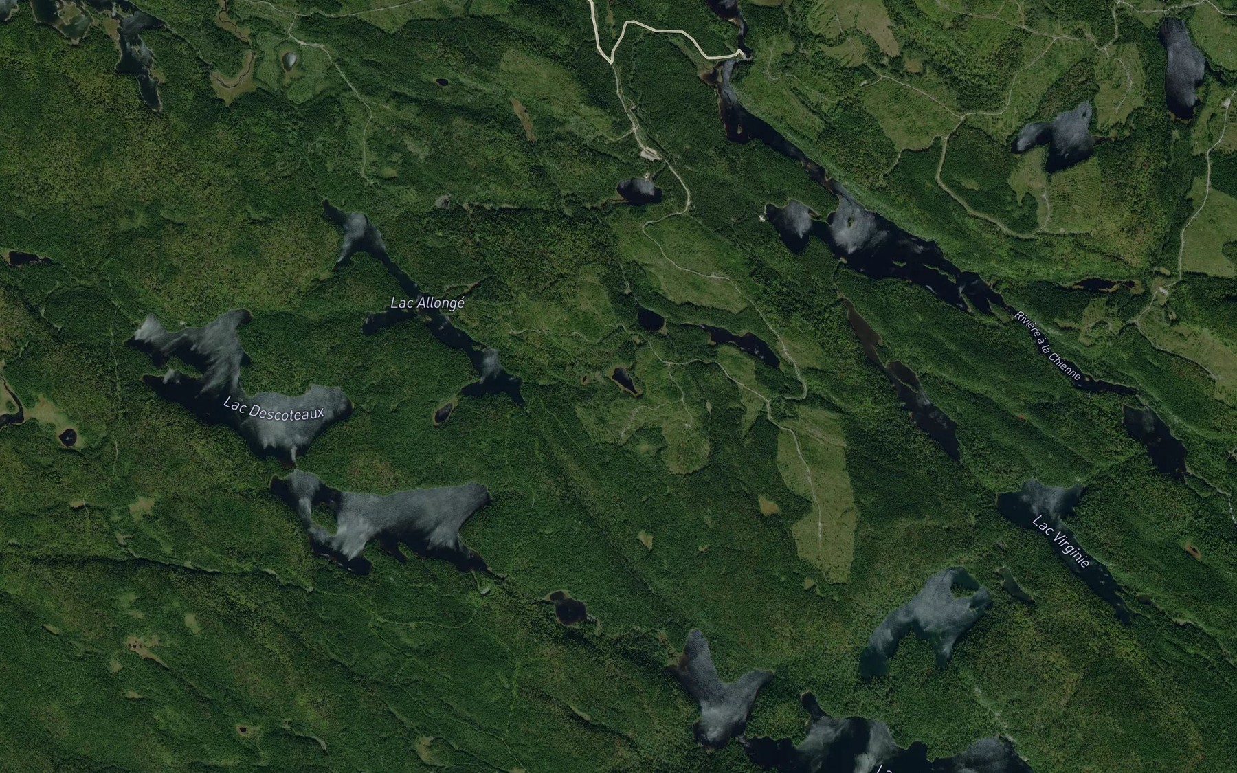 Satellite map of the Lac Lemay
