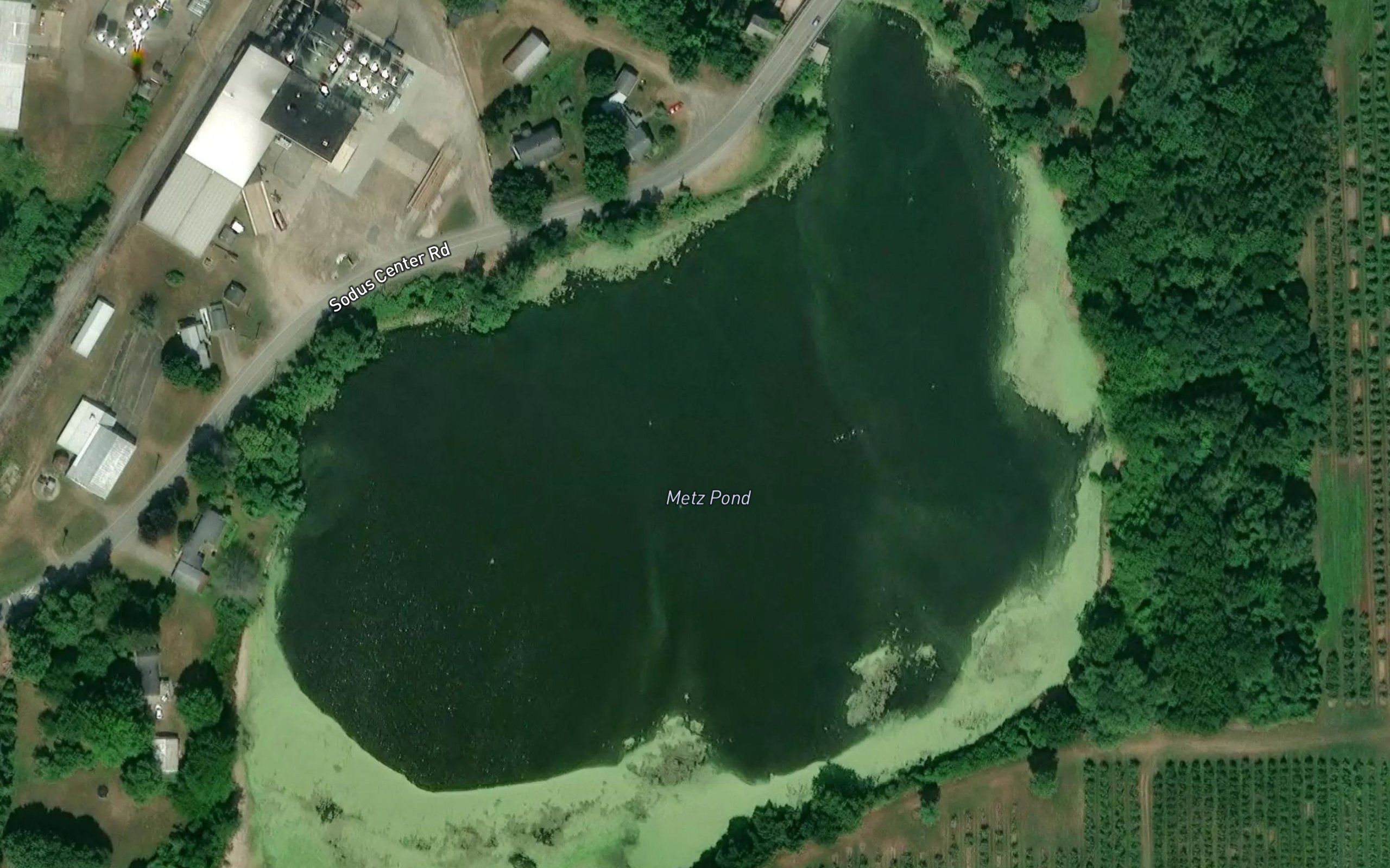 Metz Pond