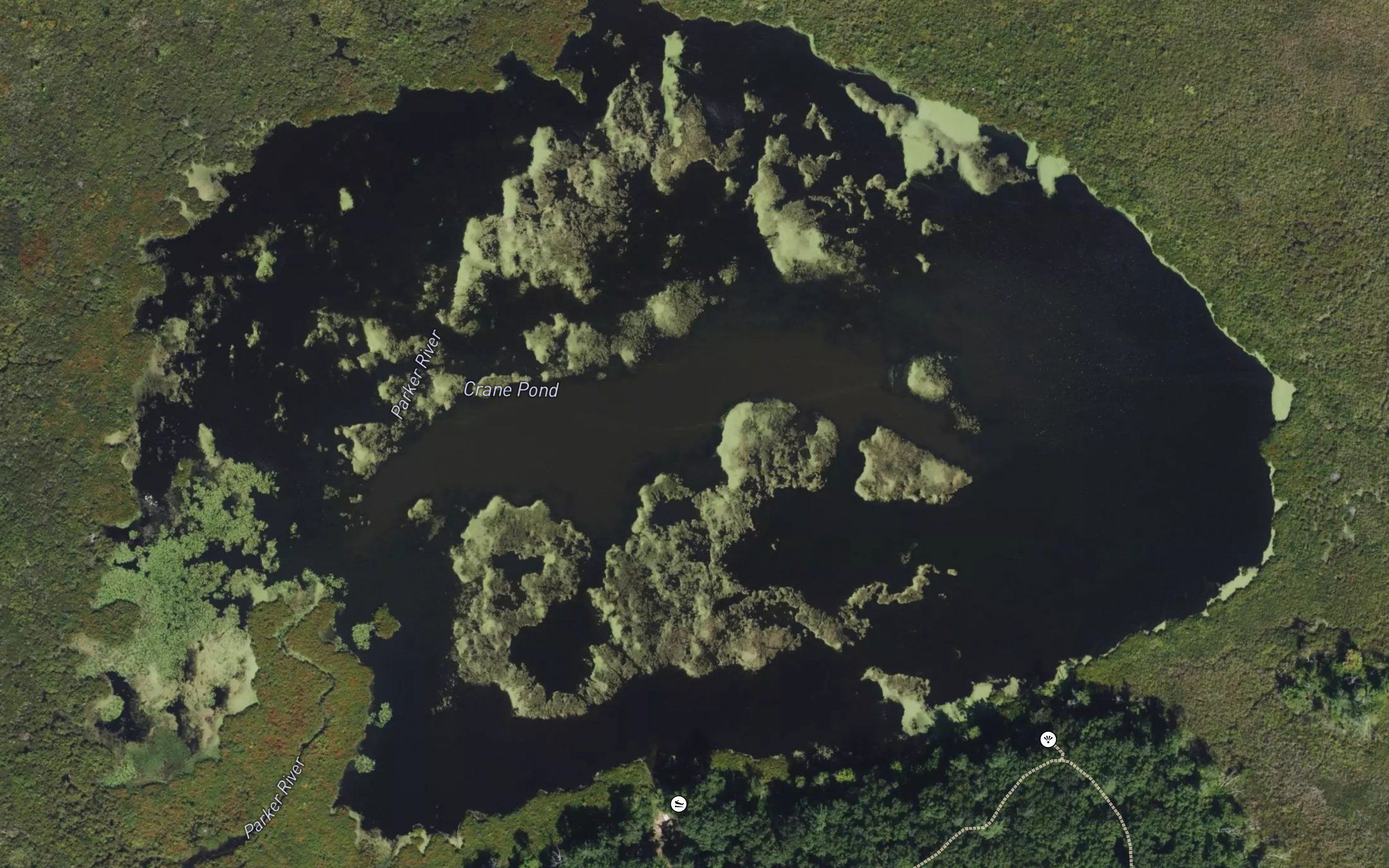 Crane Pond