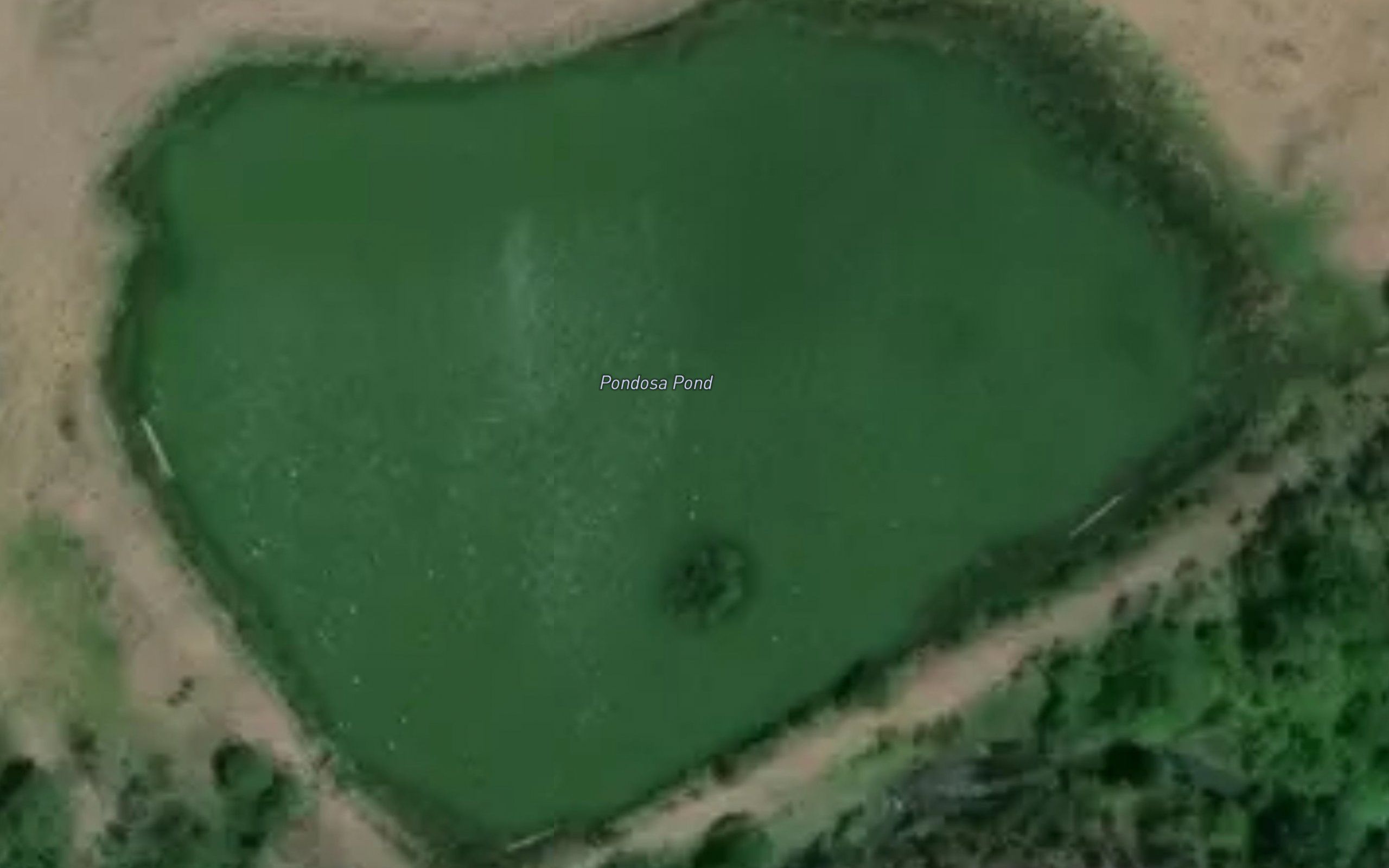 Pondosa Pond