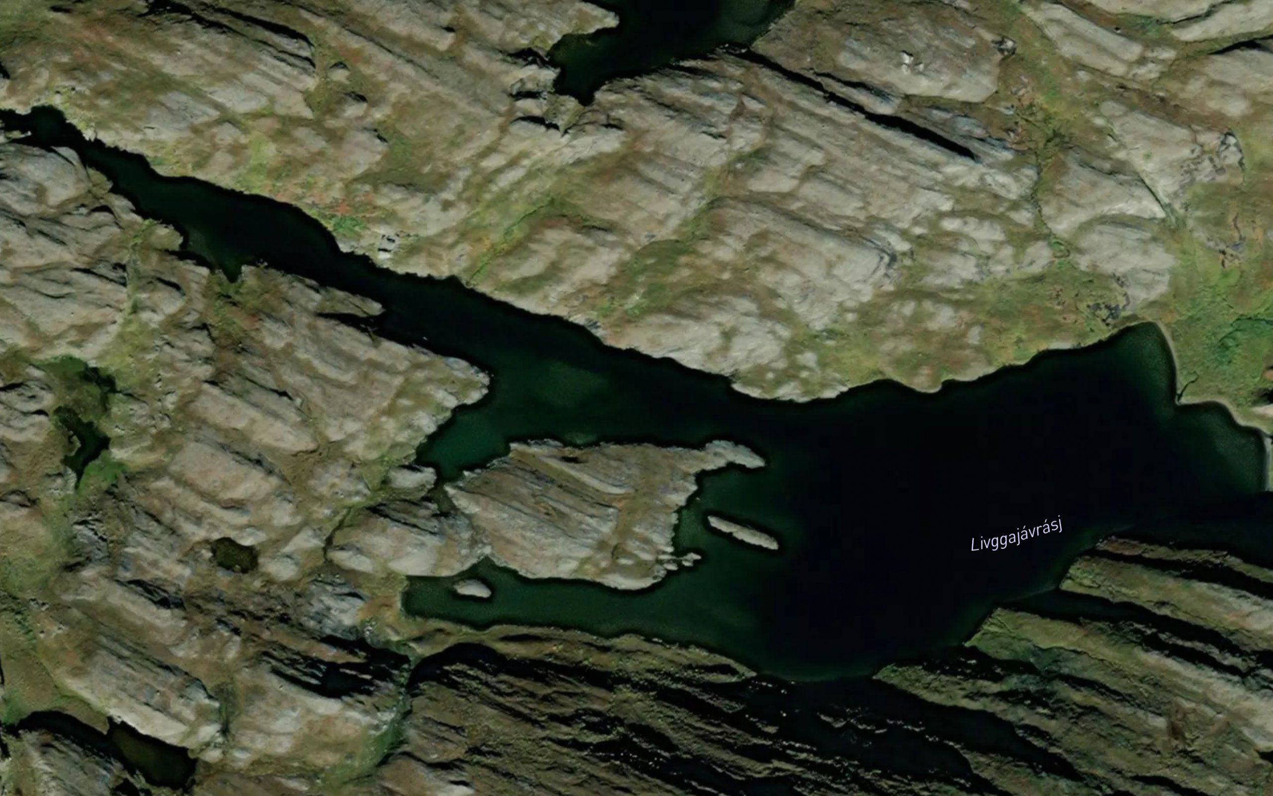 Divgajavras