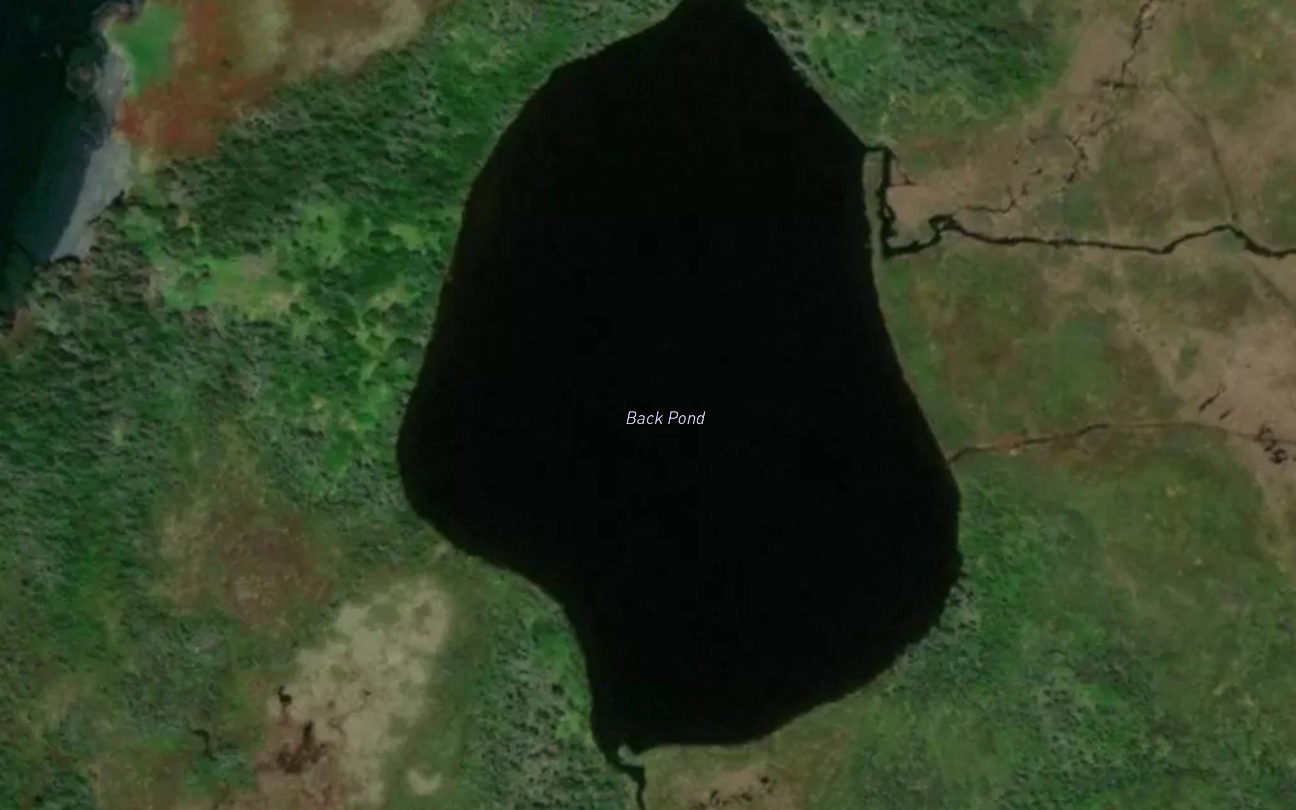 Back Pond