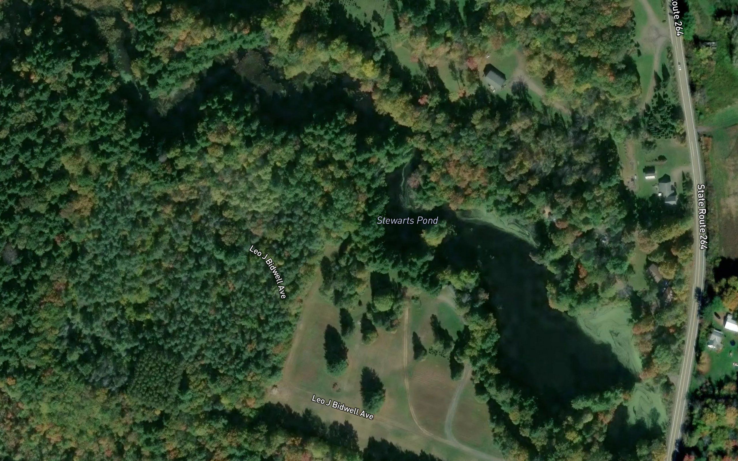 Stewarts Pond