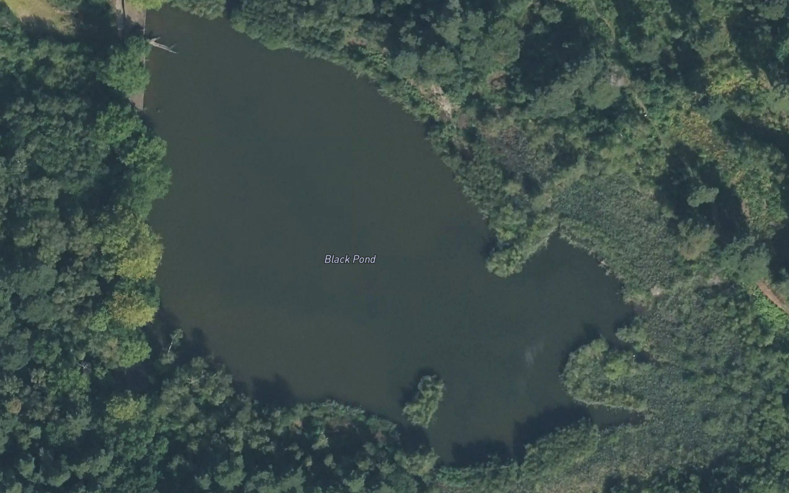 Black Pond