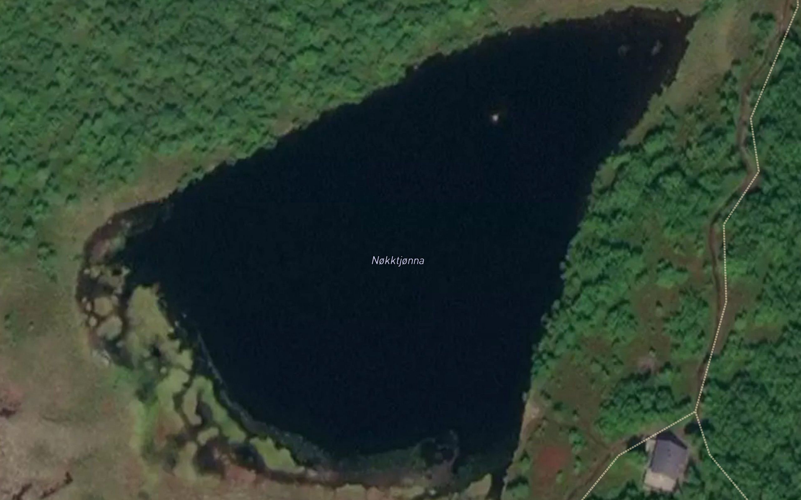 Nokktjorna