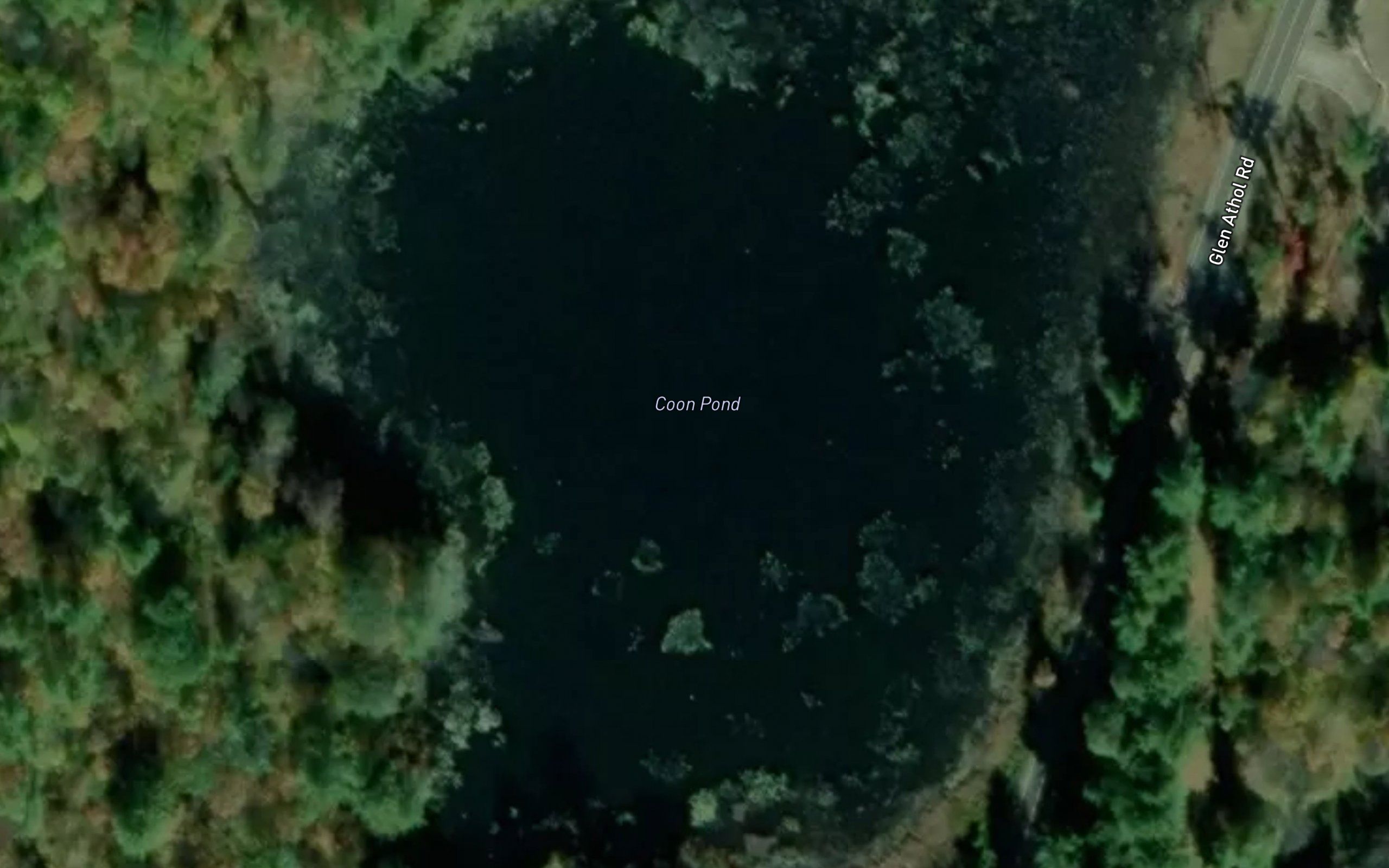 Coon Pond