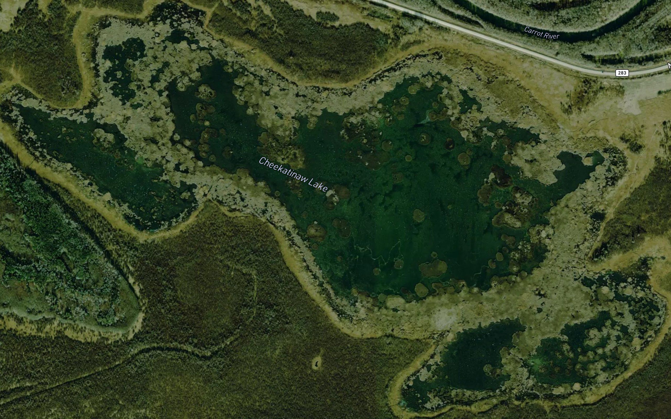 Cheekatinaw Lake