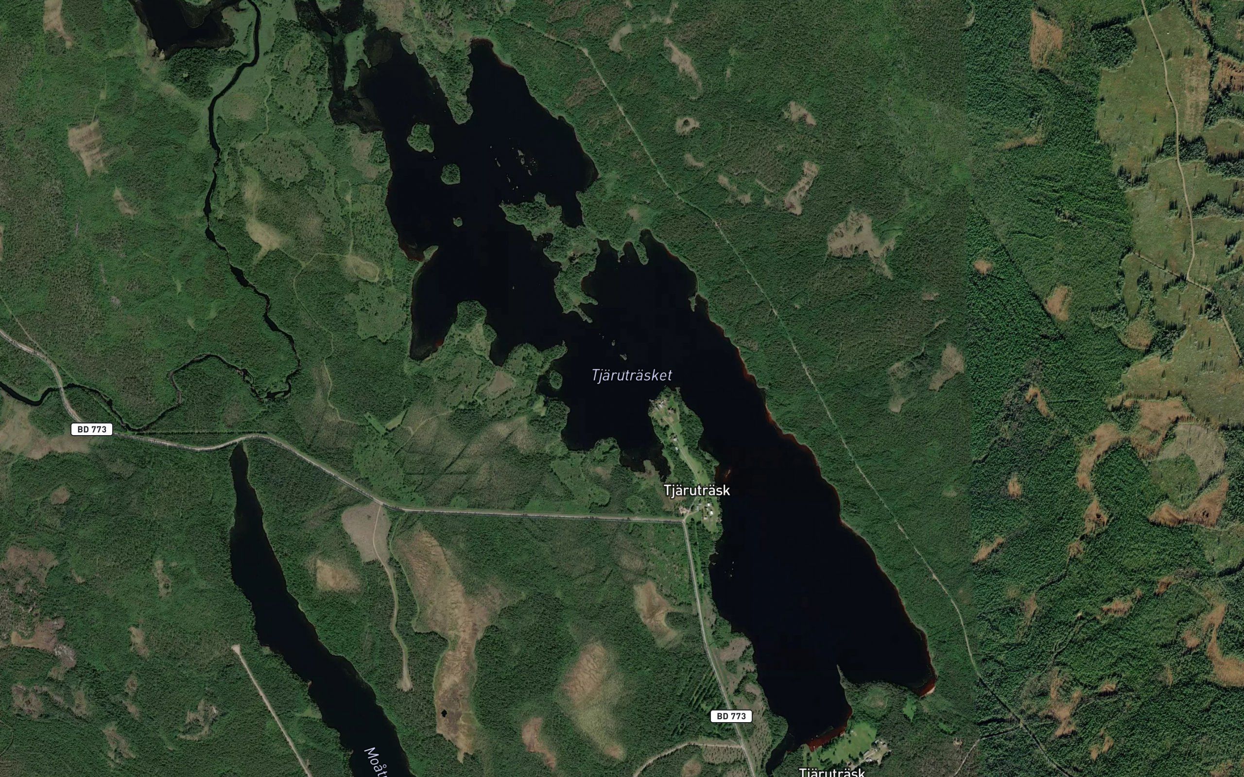 Tjarutrasket