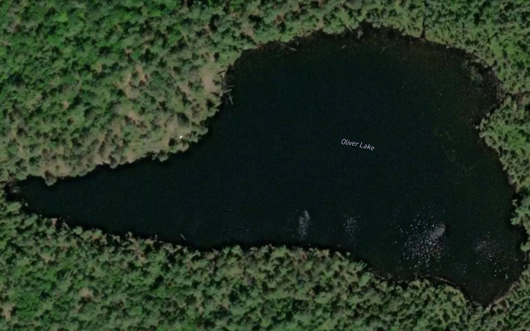 Satellite map of the Oliver Lake