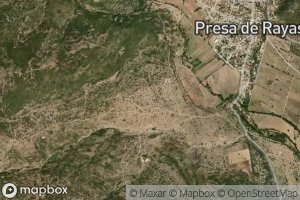 Satellite map of the Presa Rayas