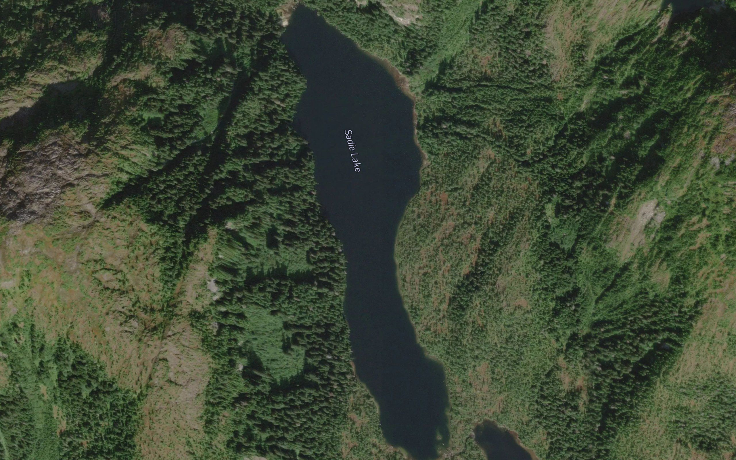 Sadie Lake