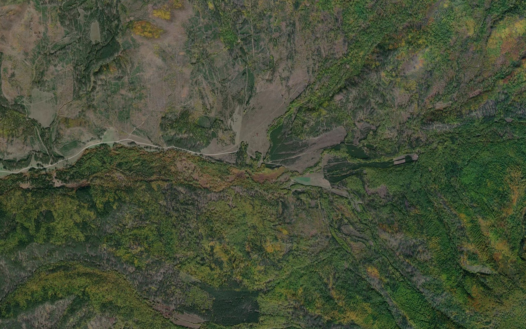 Satellite map of the Zaryanova