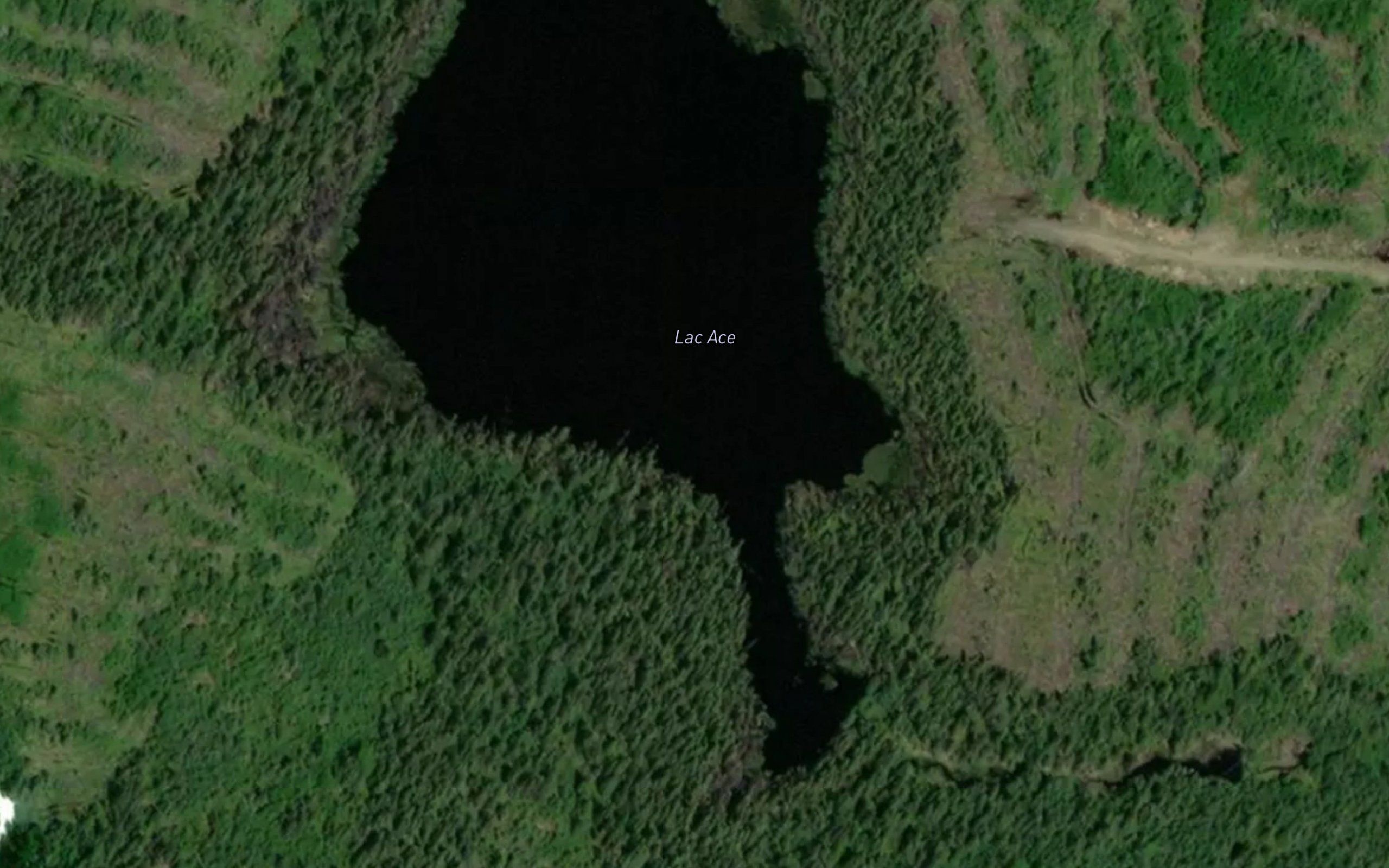 Lac Ace