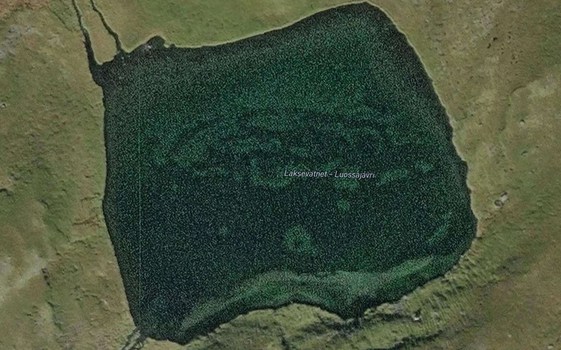 Satellite map of the Laksevatnet