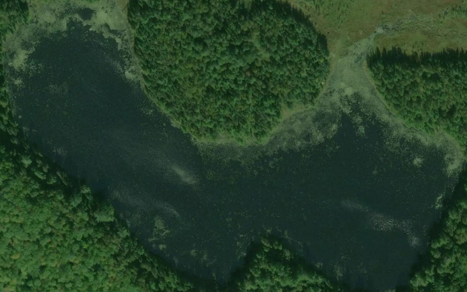 Satellite map of the Lac Griffin