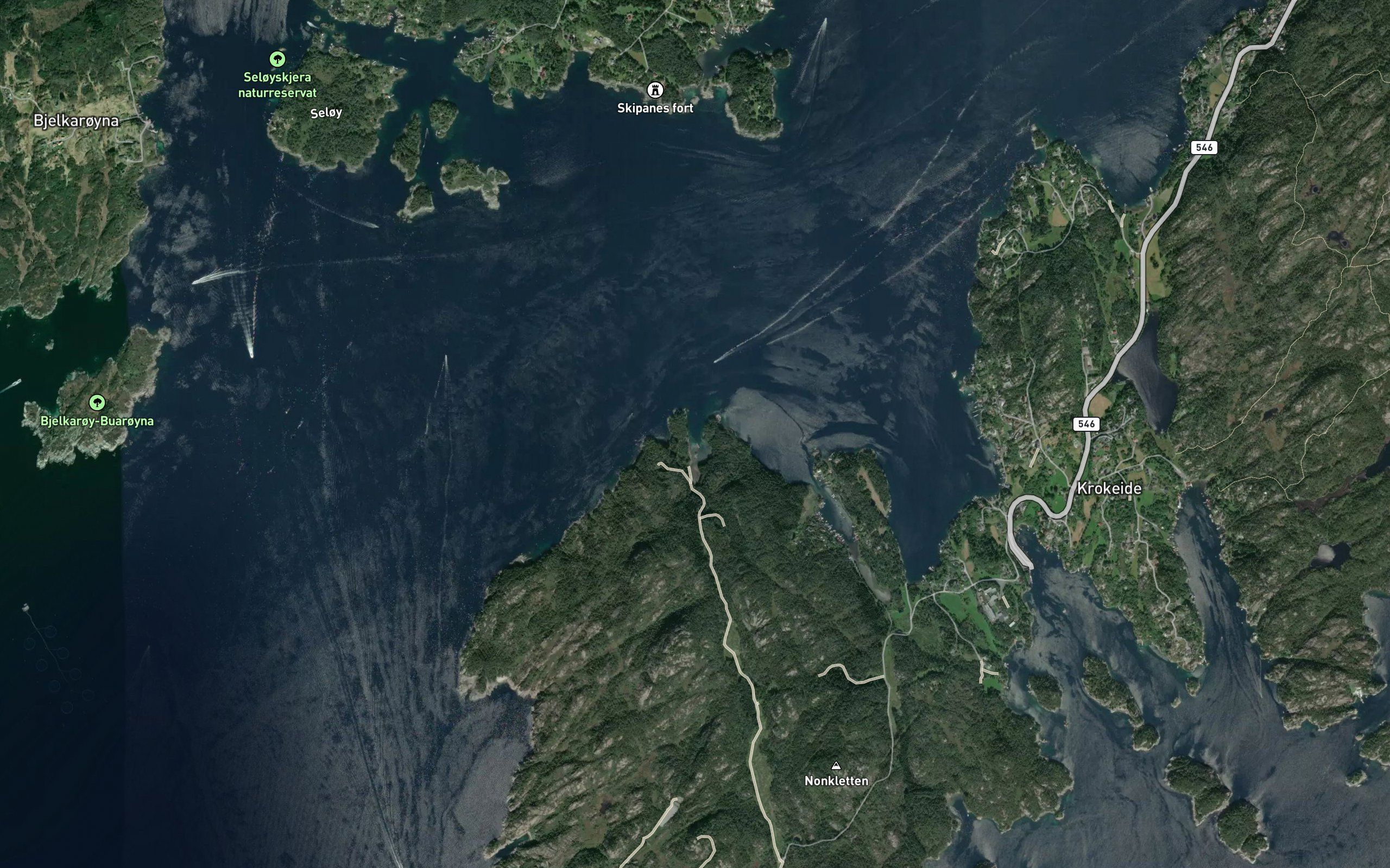 Selvagen