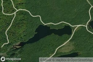 Bunting Lake