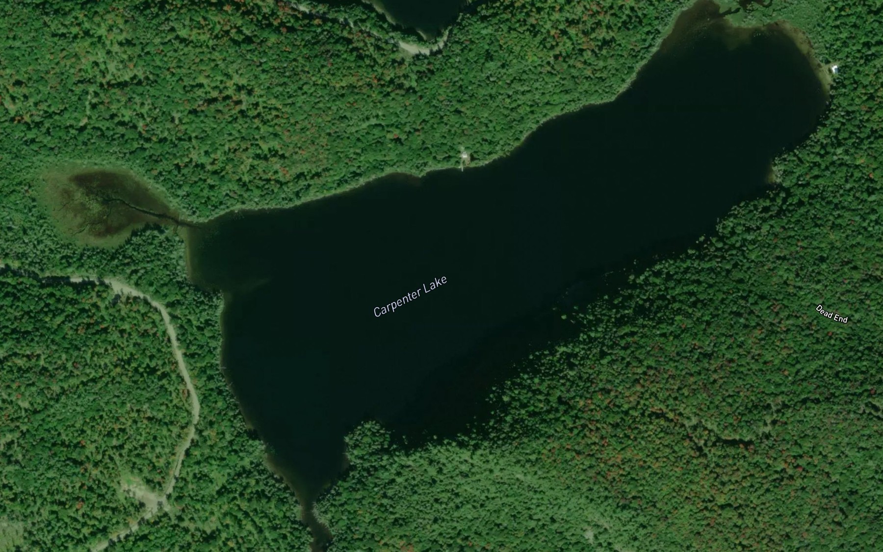 Satellite map of the Carpenter Lake
