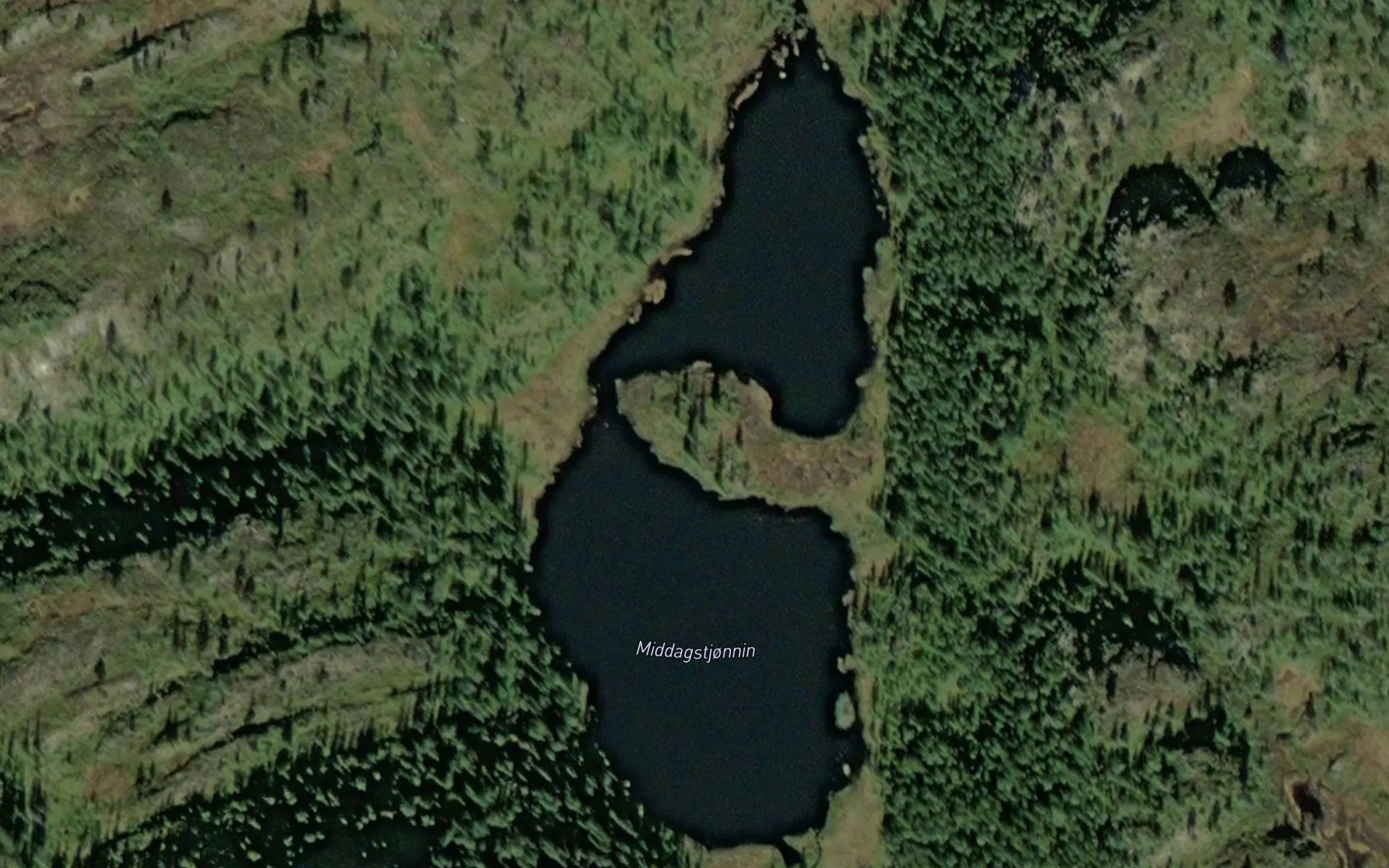 Middagstjornin