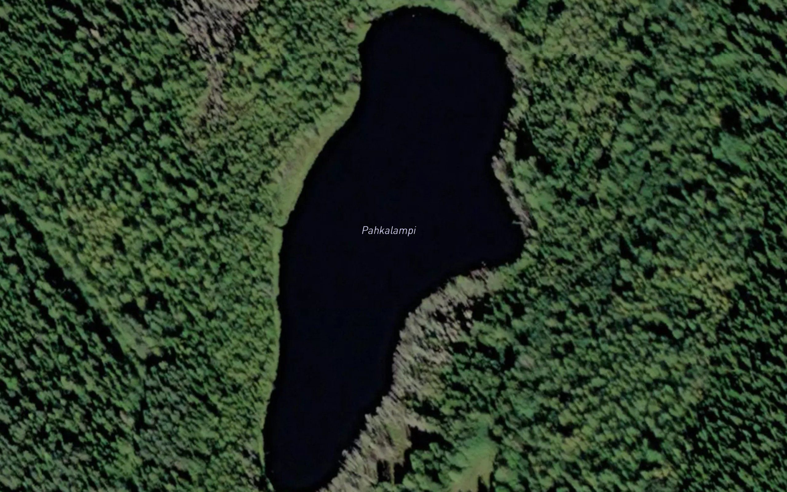 Pahkalampi