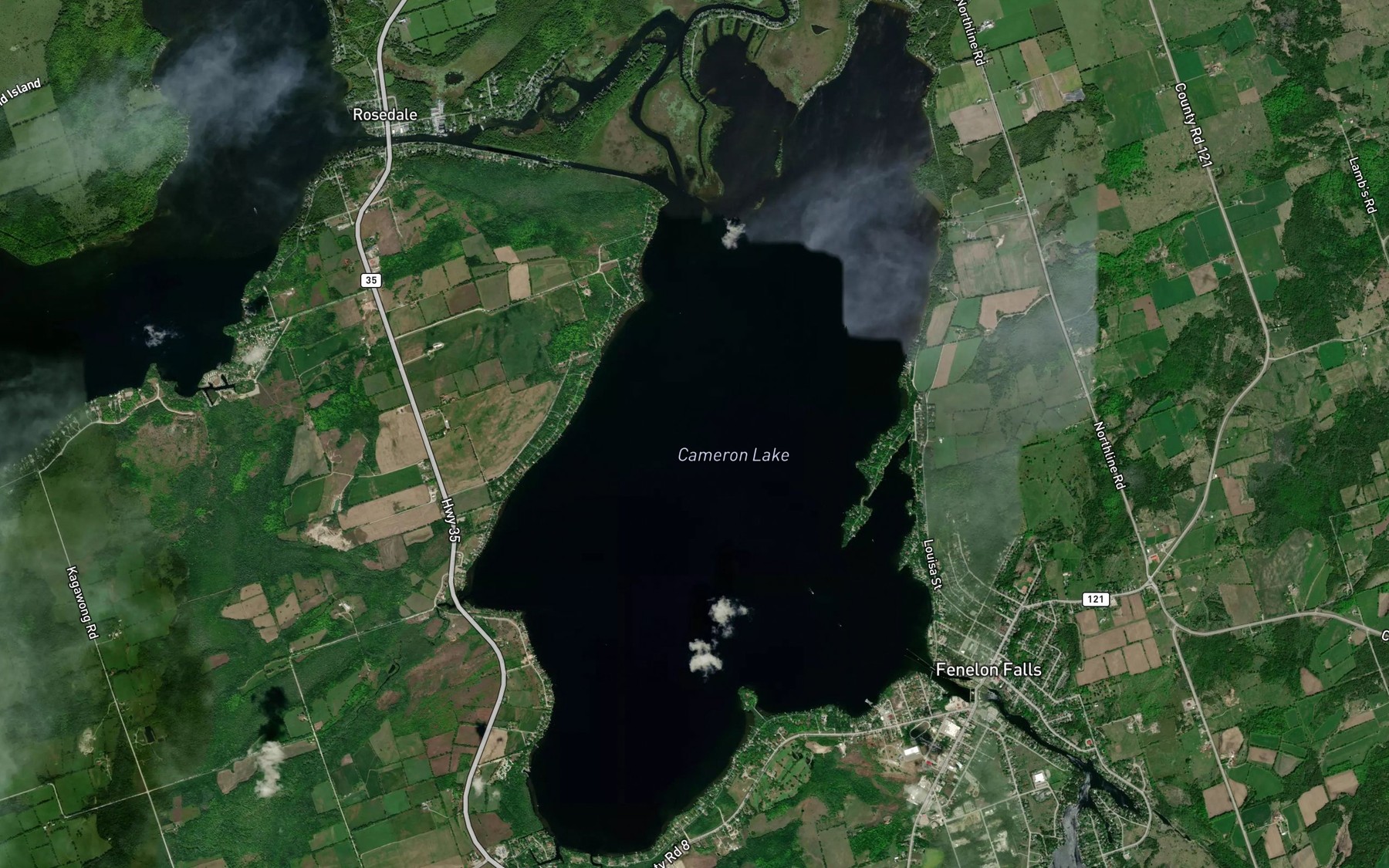 Satellite map of the Cameron Lake