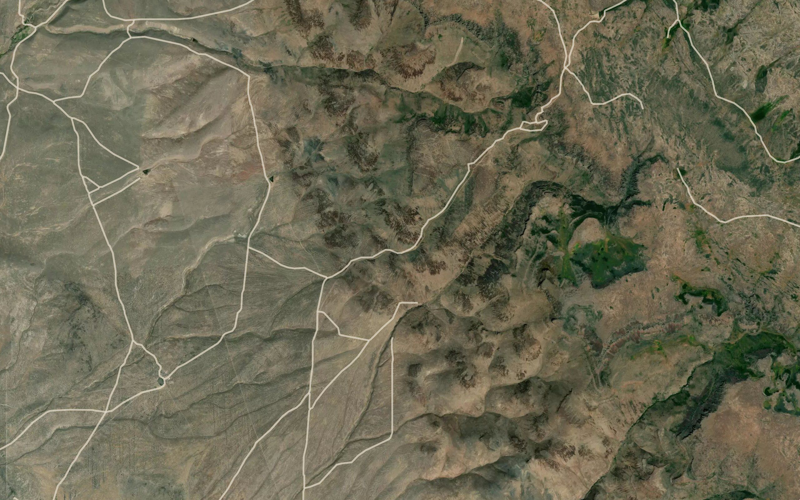 Andy Five Spring