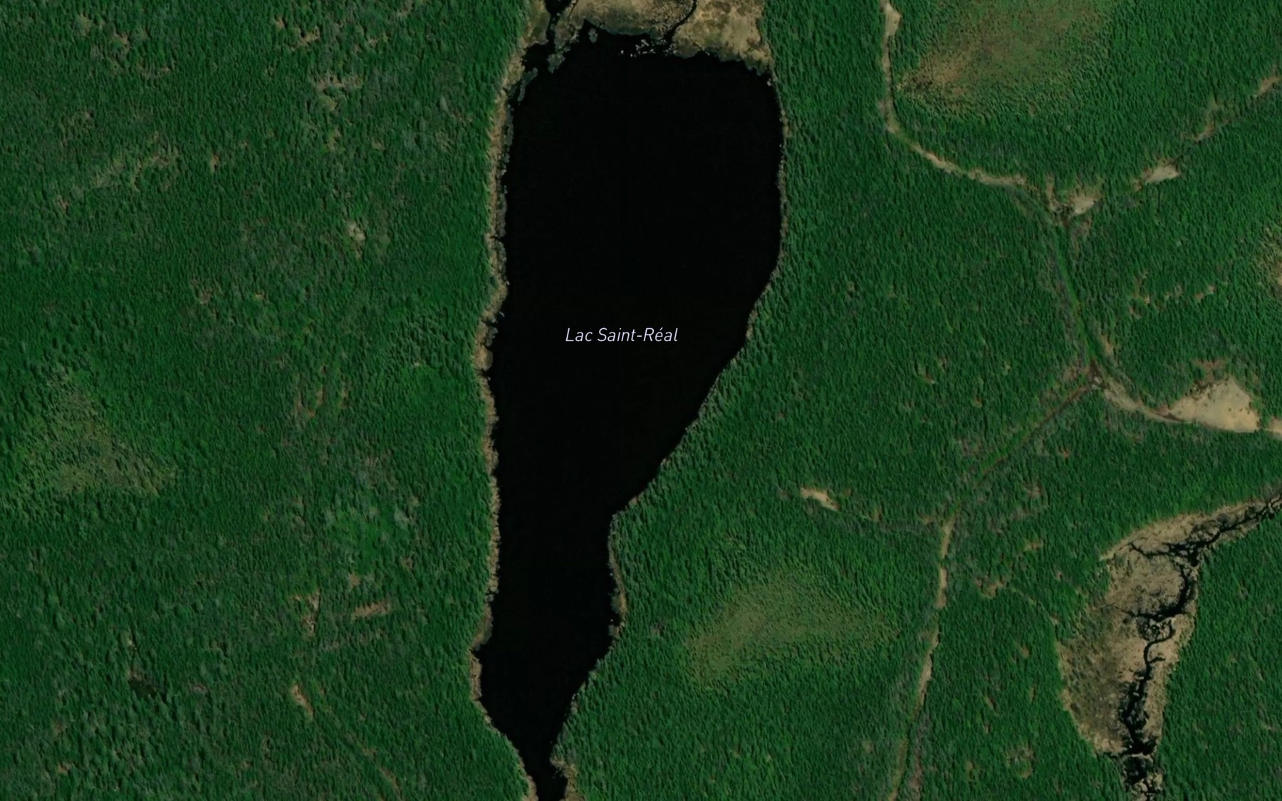 Satellite map of the Lac Saint-Real