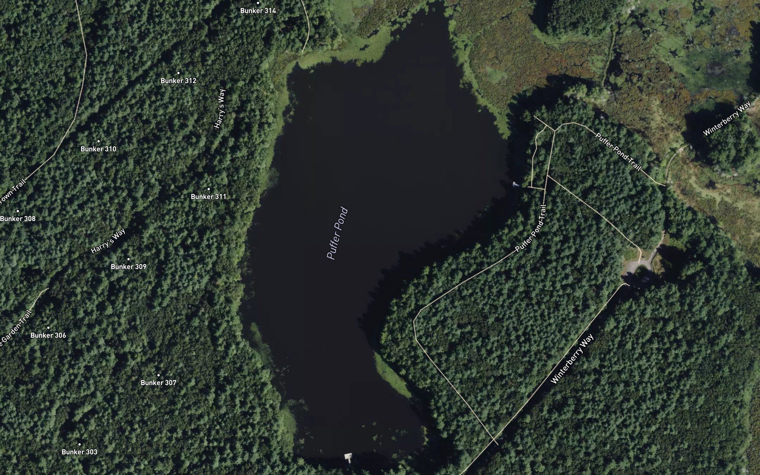 Puffer Pond