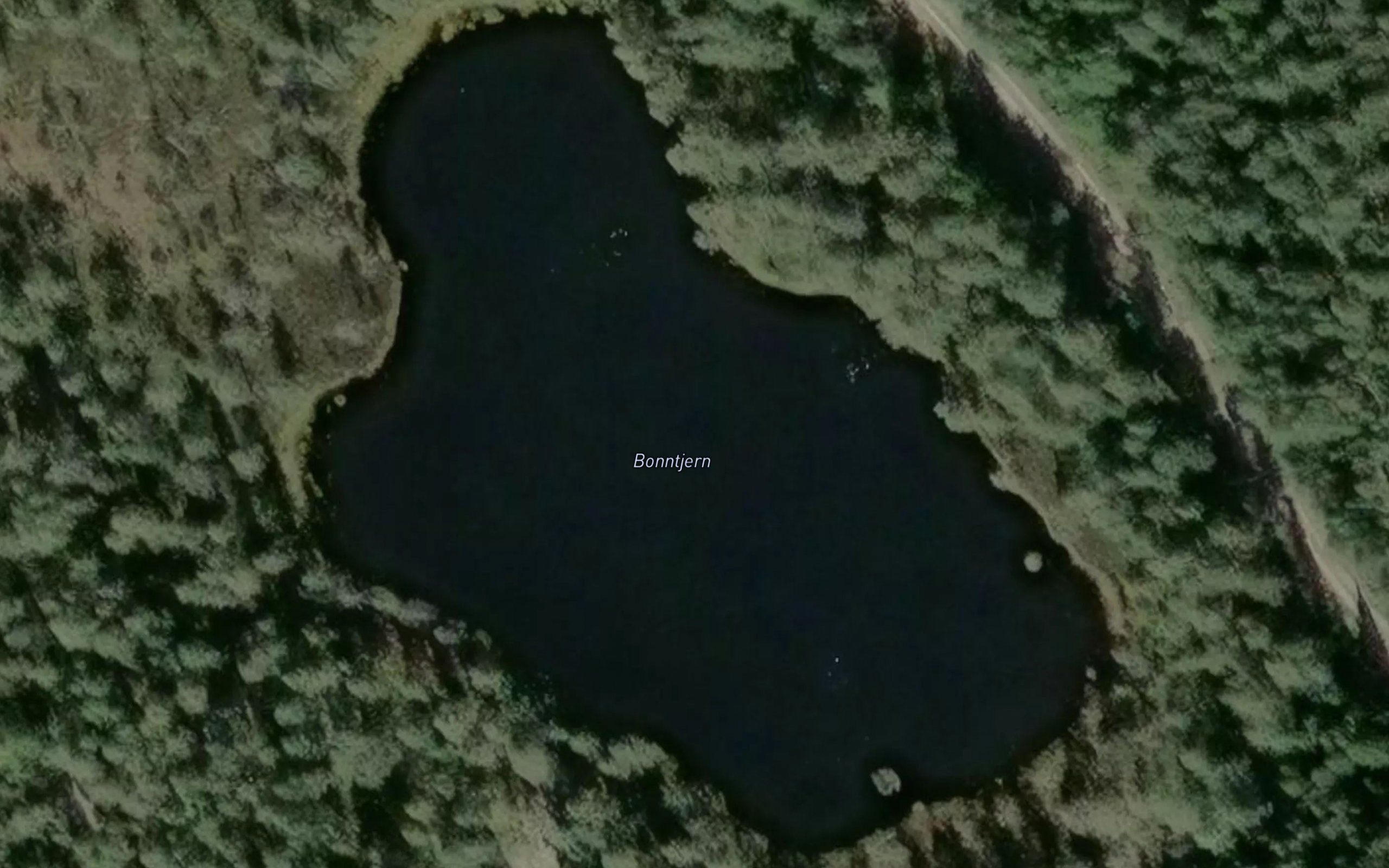 Bonntjern
