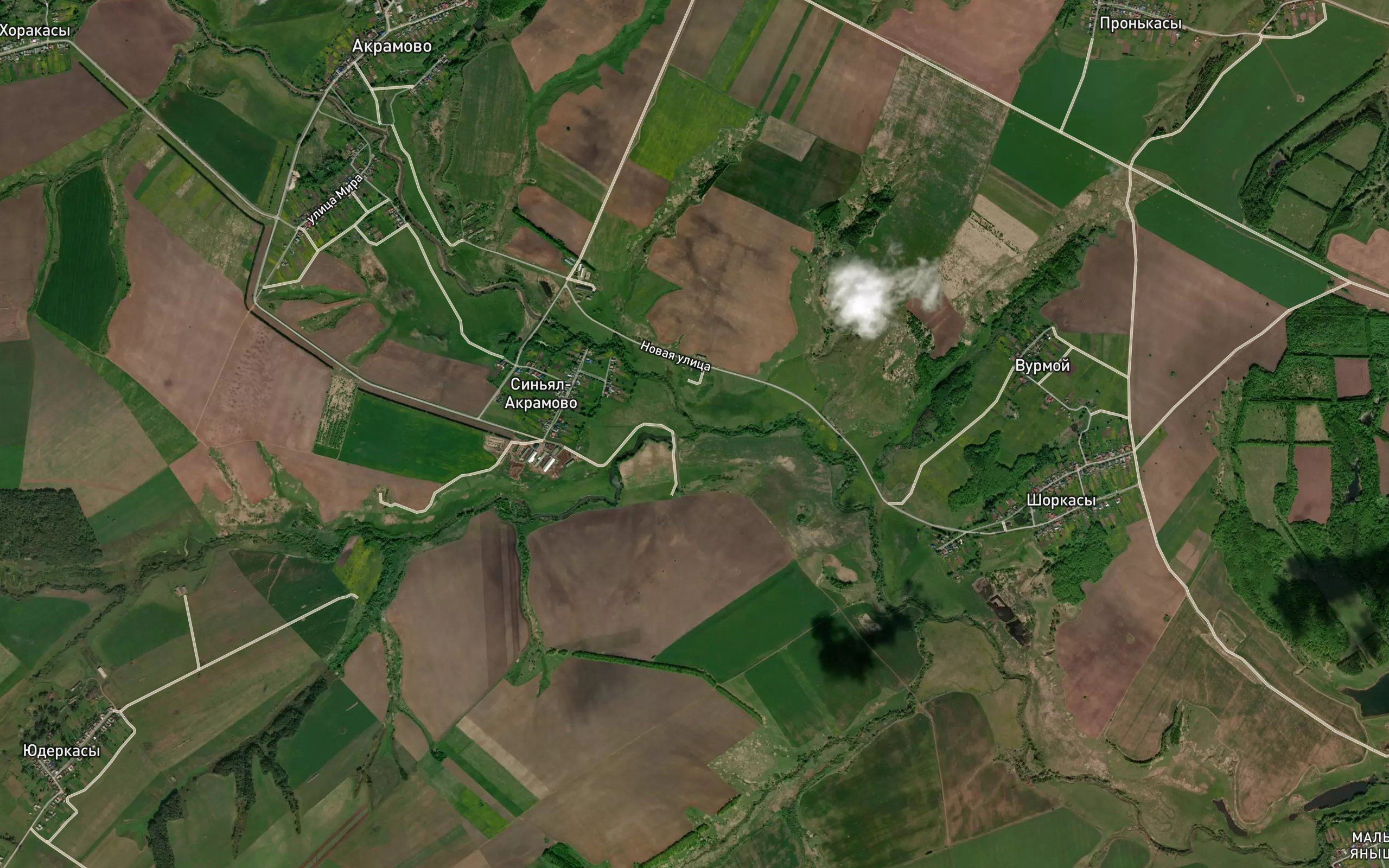Kidyarka