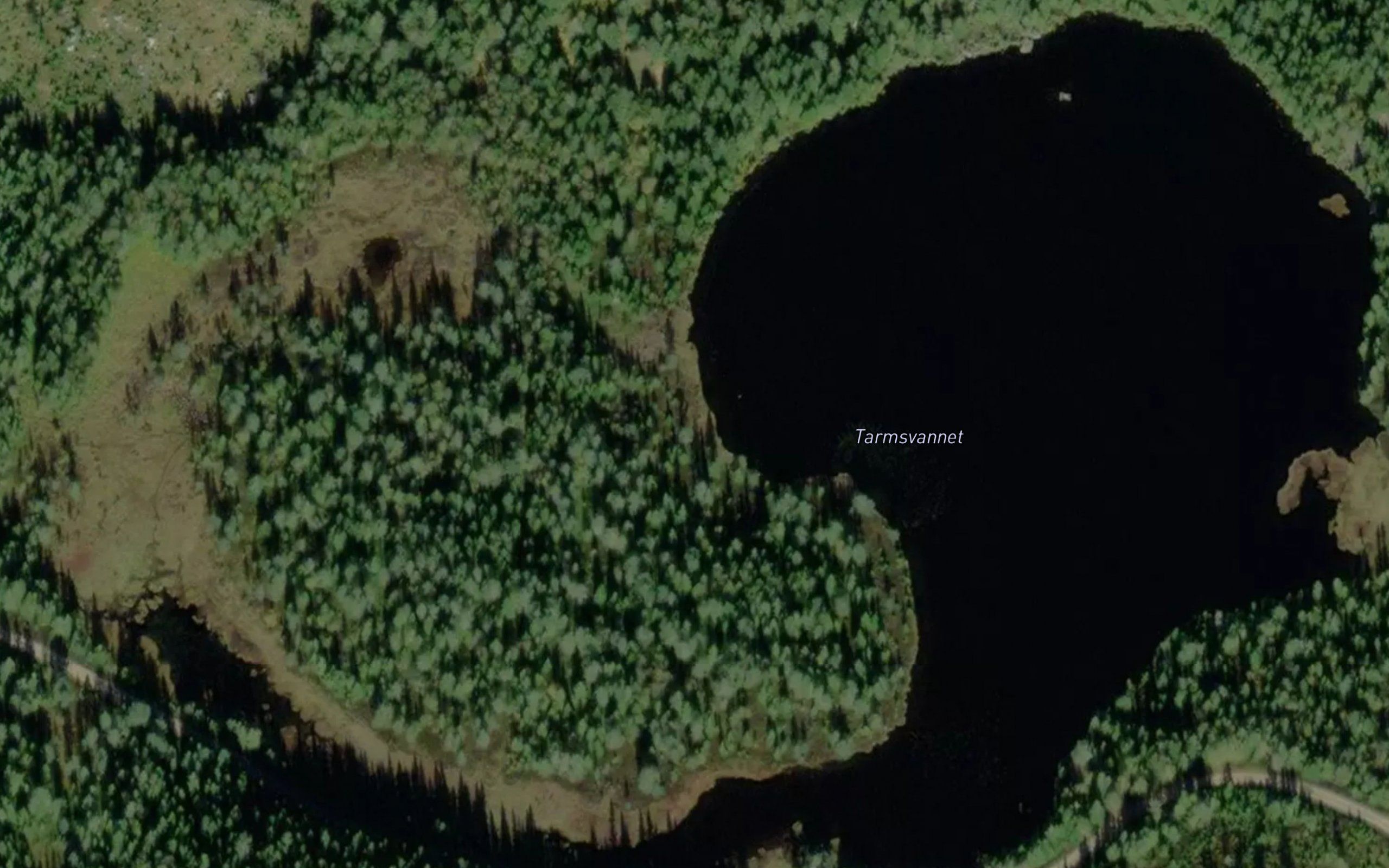 Tarmsvannet