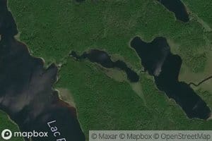 Lac des Carex