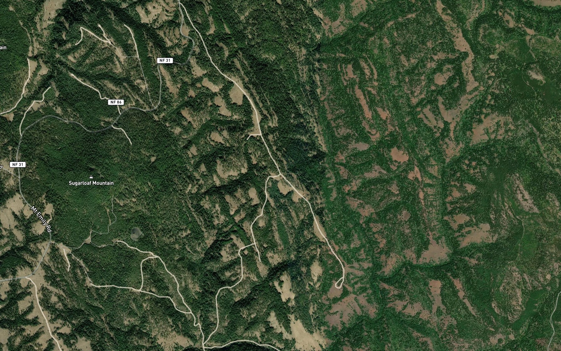 Satellite map of the Deer Lick Spring